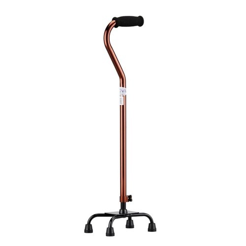 Cane Rental